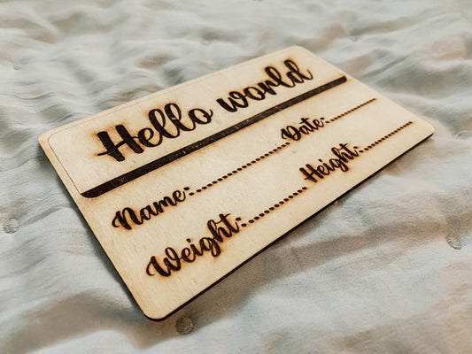 12 MONTH MILESTONES + HELLO WORLD PLAQUE + HOLIDAY MILESTONES BUNDLE